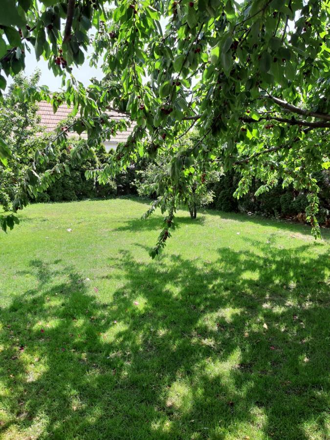 Eisenstadt Apartments Zewnętrze zdjęcie